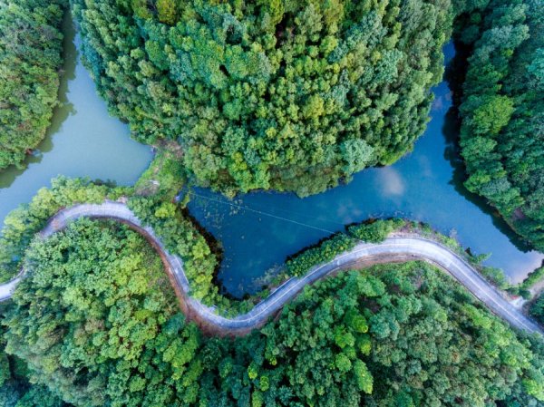 配资炒股网站平台 全国生态日：广东绿色家底“长”出惠民新动能