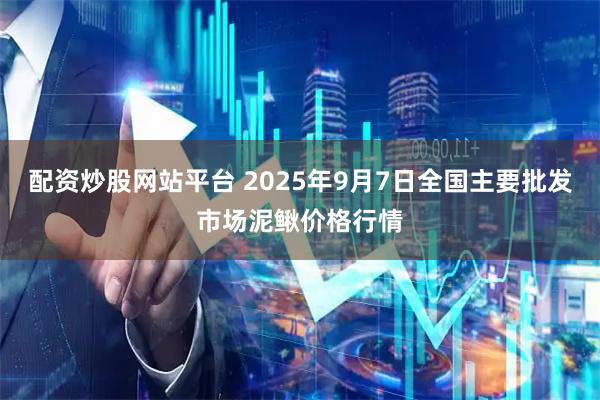 配资炒股网站平台 2025年9月7日全国主要批发市场泥鳅价格行情